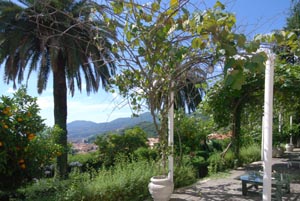 Villa Amata