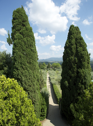 Villa Fossati